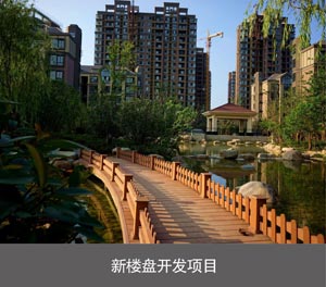两层简易式机械式樱花免费视频网址观看设备新楼盘开发项目